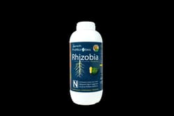 Promicribe Rhizobia