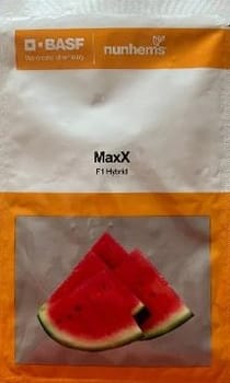 Maxx  F1 Hybrid