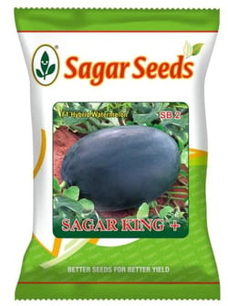 Sagar King + (F1 Hybrid Watermelon)