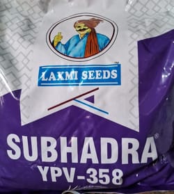 Subhadra YPV-358