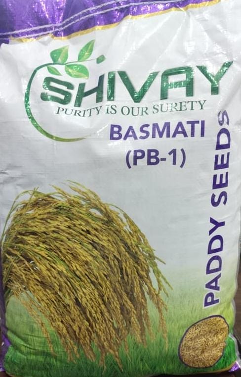 Basmati (PB-1)