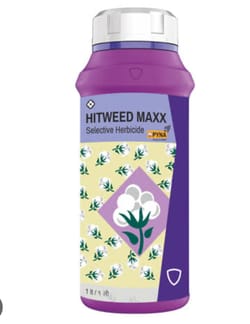 Hitweed Maxx