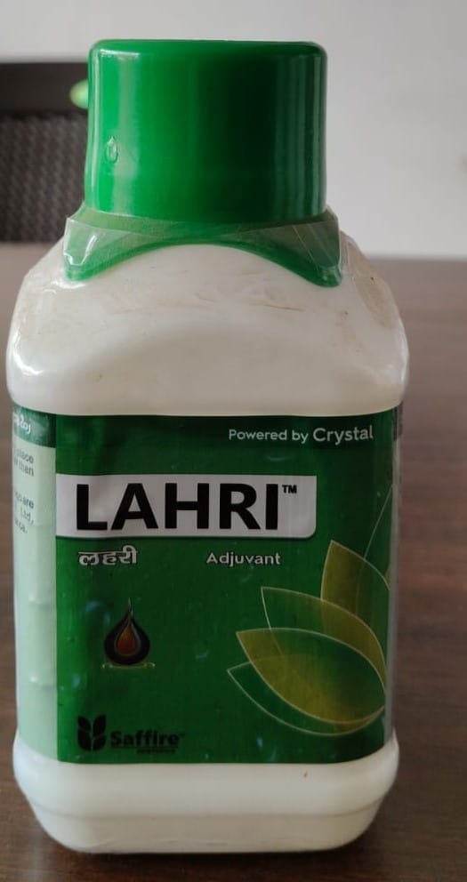 Lahri