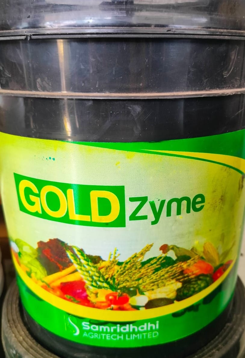 Gold Zyme Bucket