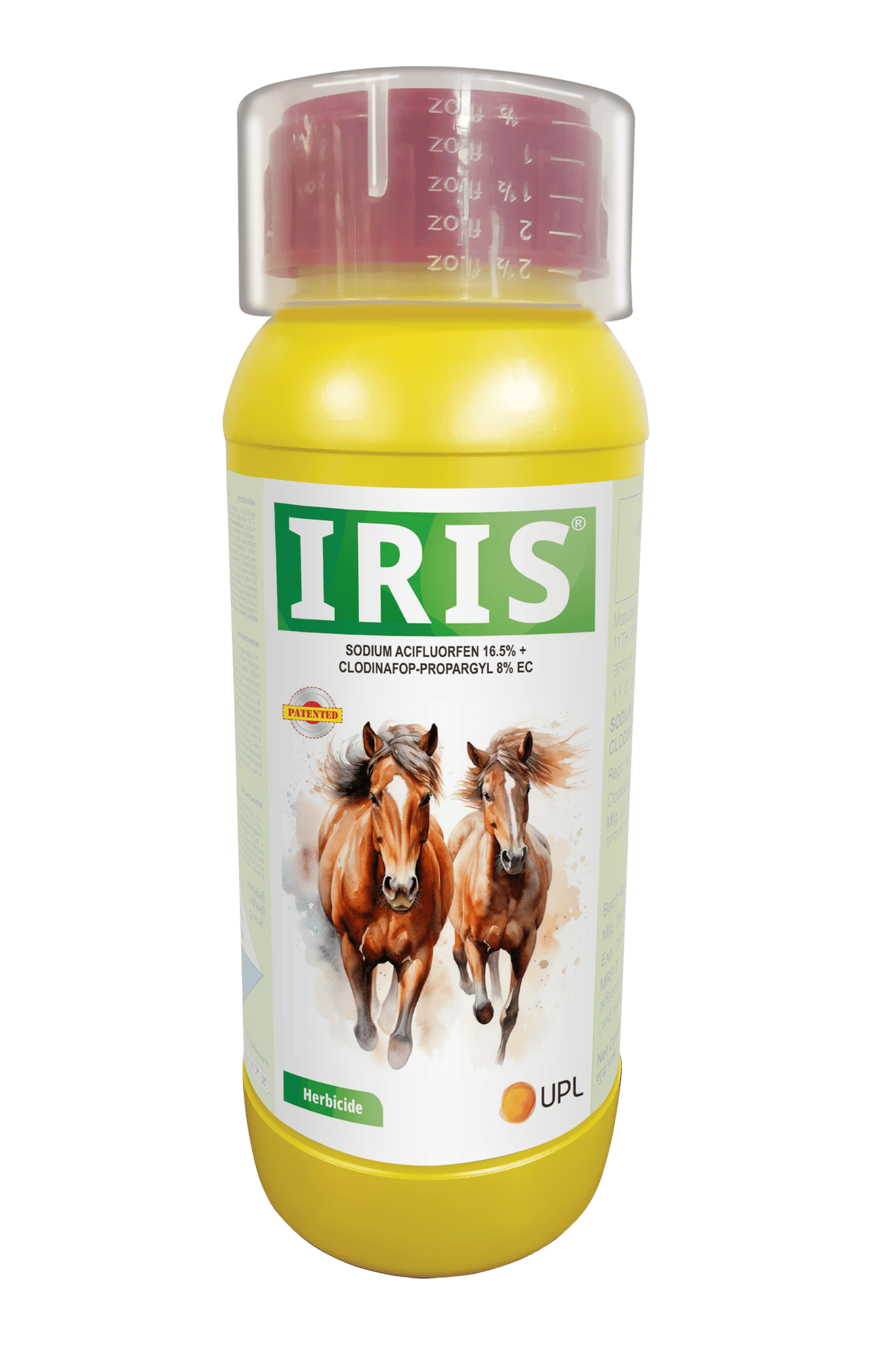 Iris