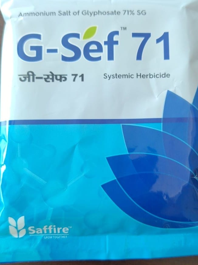 G-Sef 71