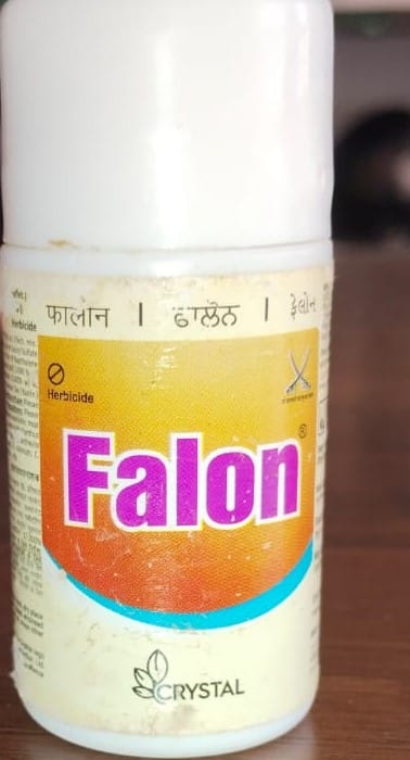 Falon