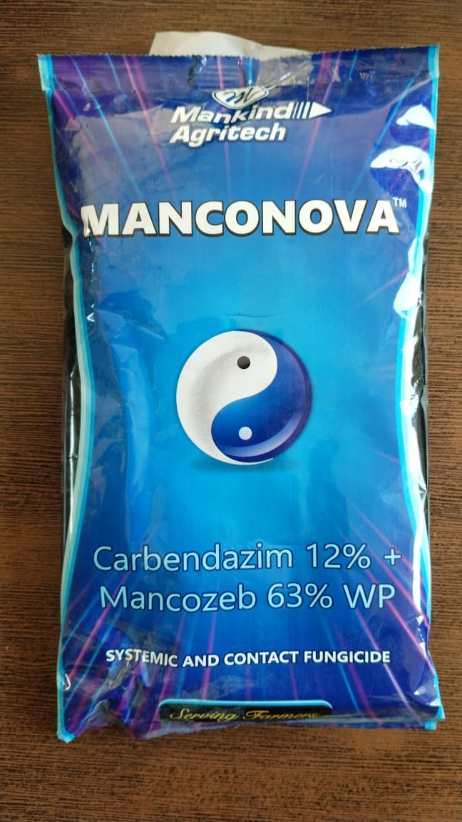 MANCONOVA