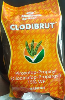 CLODIBRUT