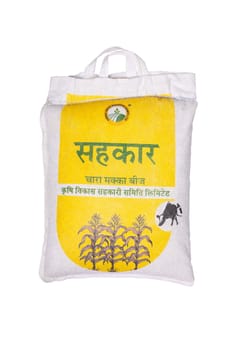 Maize (Pratap-Makka chari-6)
