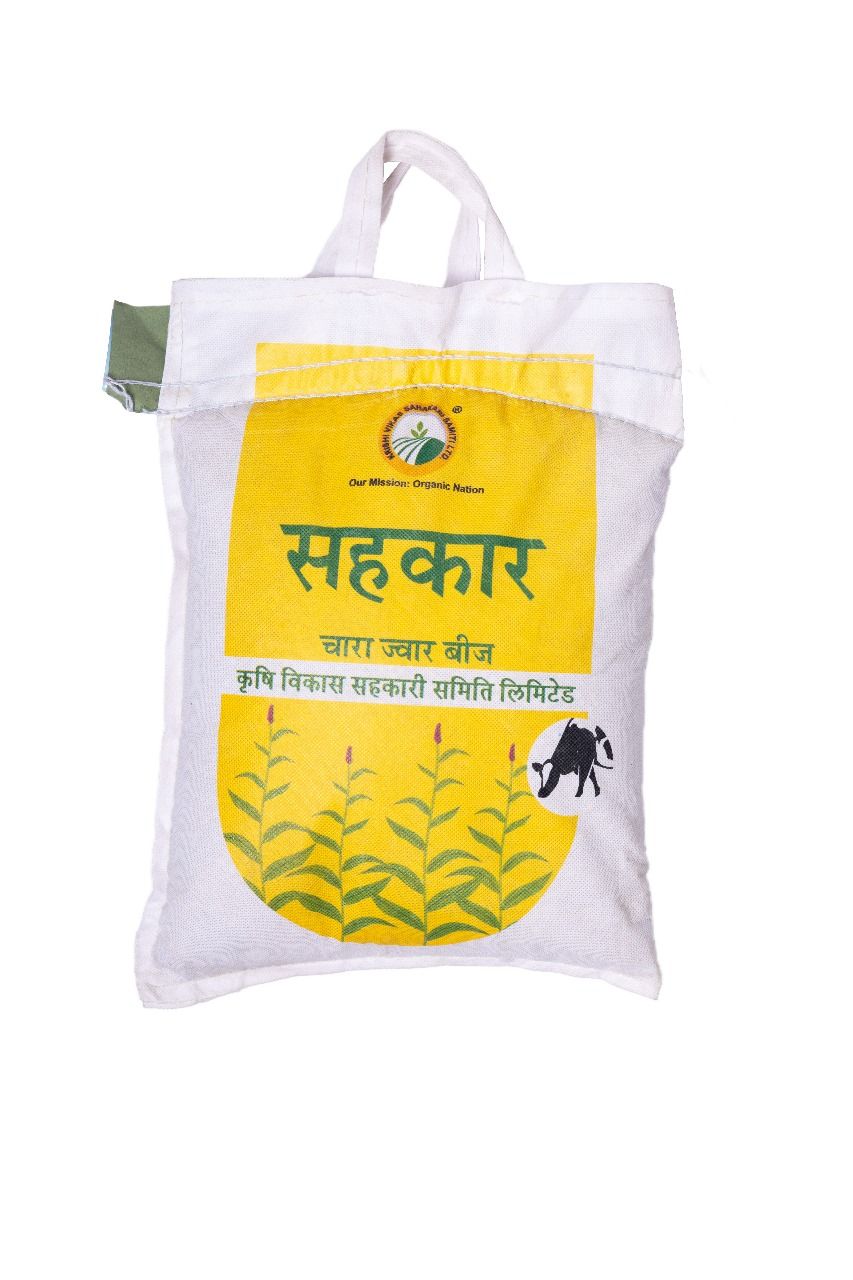 Sorghum (CSV-46F)