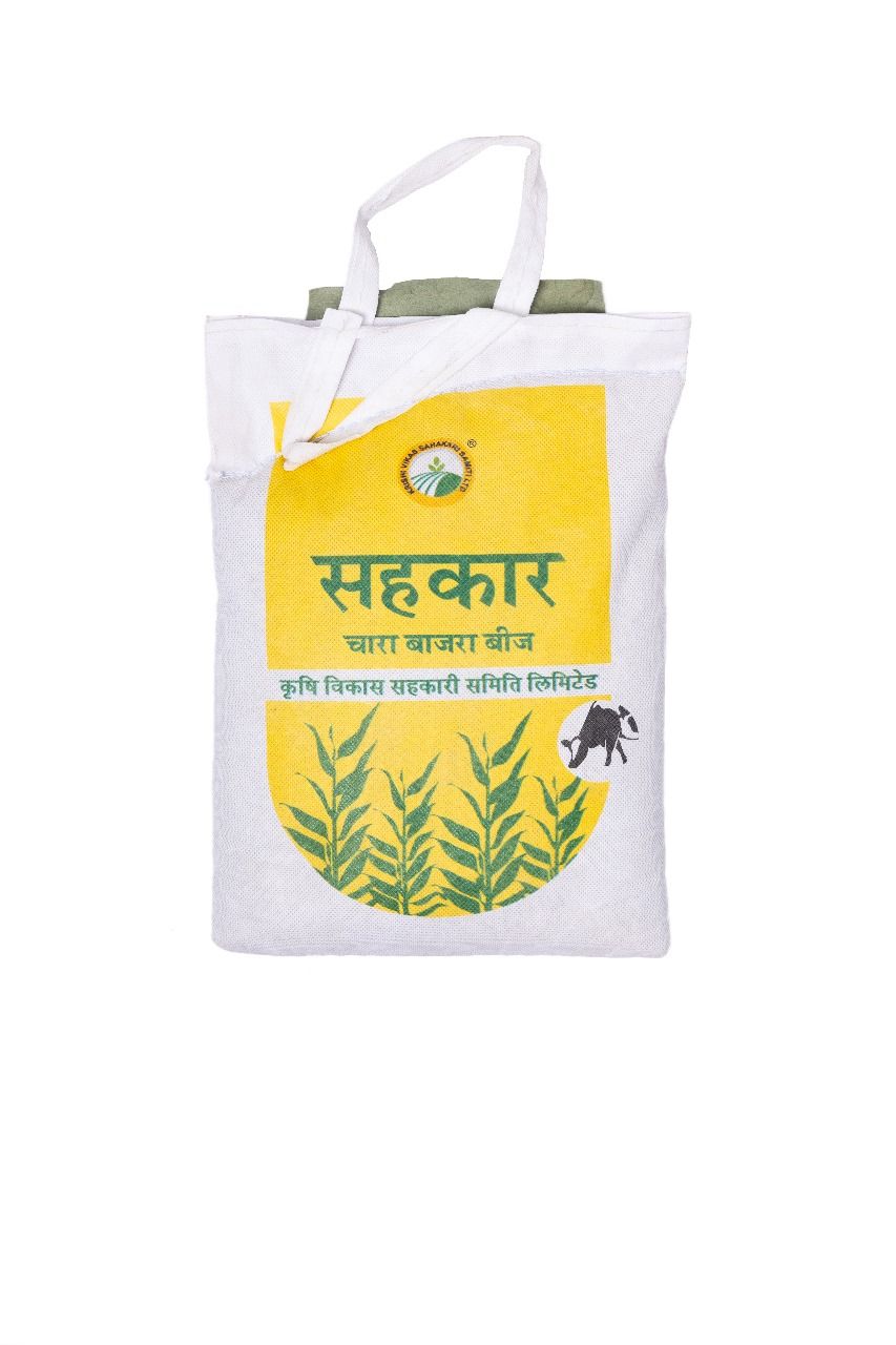 Bajra (BAIF Bajra- 1)